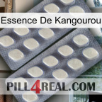 Kangaroo Essence 07